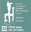 gonzalo-nardiz-premios