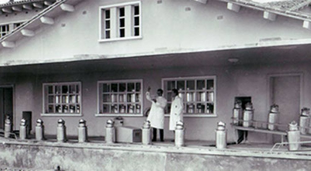 kanpoko-erdiko-esnekiak