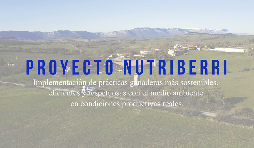 Nutriberri: innovación y sostenibilidad para una ganadería de menor impacto
