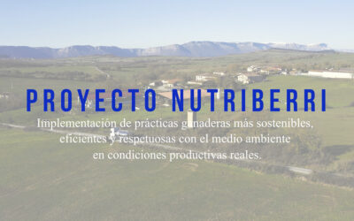 Nutriberri: innovación y sostenibilidad para una ganadería de menor impacto